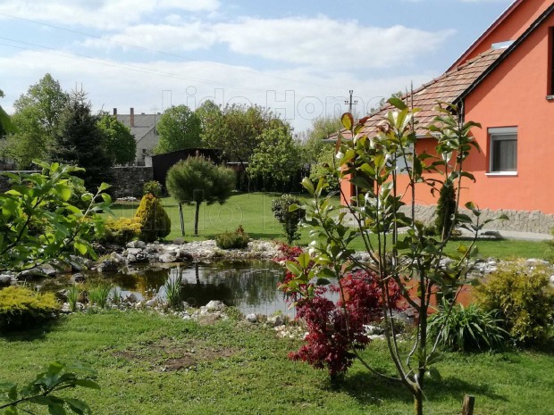 �d�r�gdi csal�di h�z, nagycsal�dnak lehet az �sz!