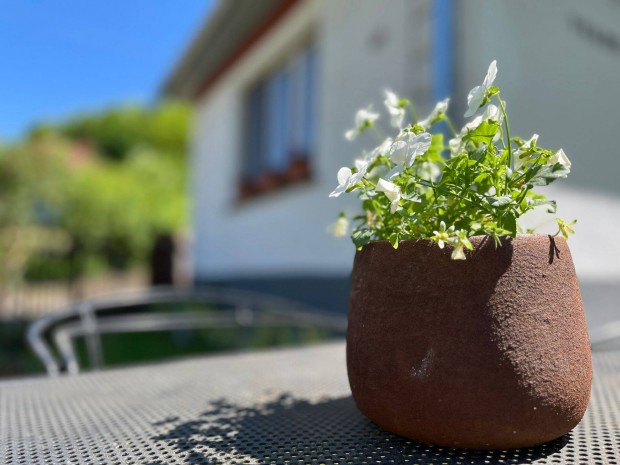 Oktberi pihens a Zemplni-hegysgben nll vendghzban