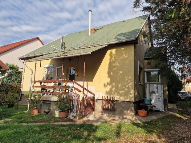 Ongai elad� 110 nm-es h�z