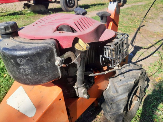 njr alternl kasza elado