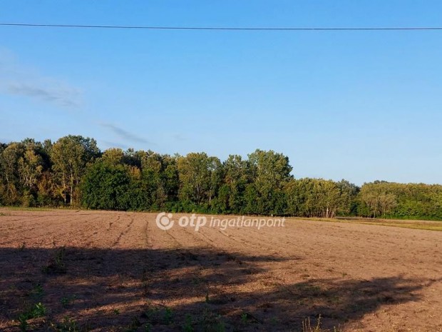 pusztaszer - Kistelek hatrban gynyr krnyezetben sznt elad!