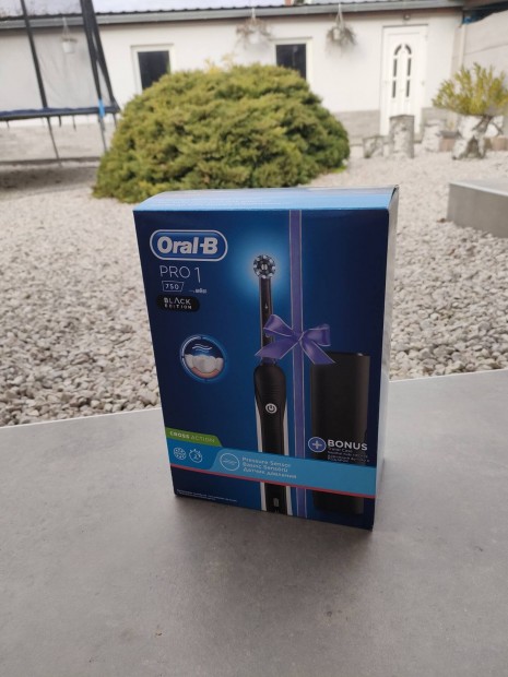 Oralb Pro 1+ travel case