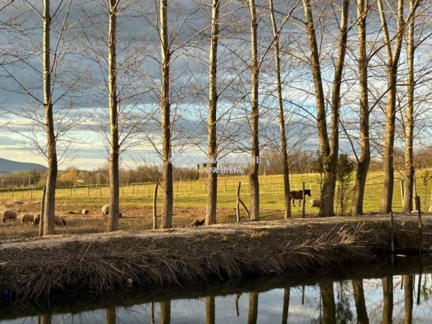 �rbotty�ni 25520 nm-es telek elad�