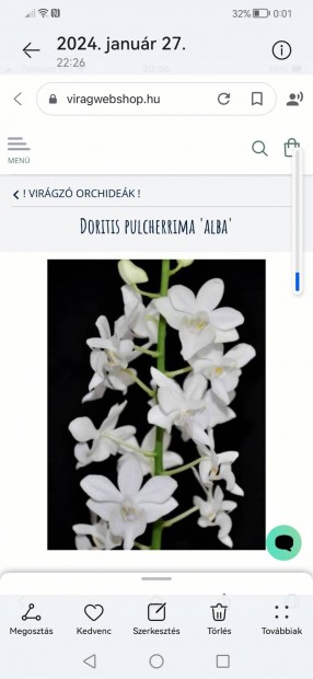 Orchidea.! Fehr viraga van Doritis Pulcherima  ALBA