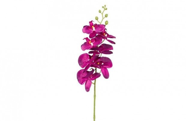 Orchidea mvirg lila 85 cm