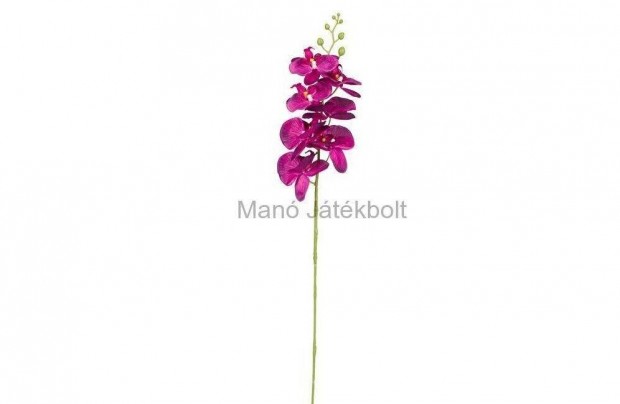 Orchidea mvirg lila 85 cm