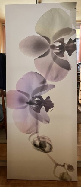 Orchidea vszon kp 140x55