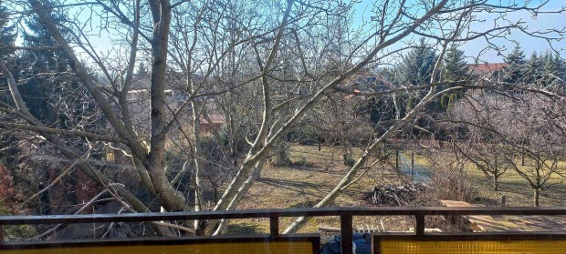 �reghegyi nyugalom a Milleniumi eml�km� t�v�ben (Tervekkel egy�tt )