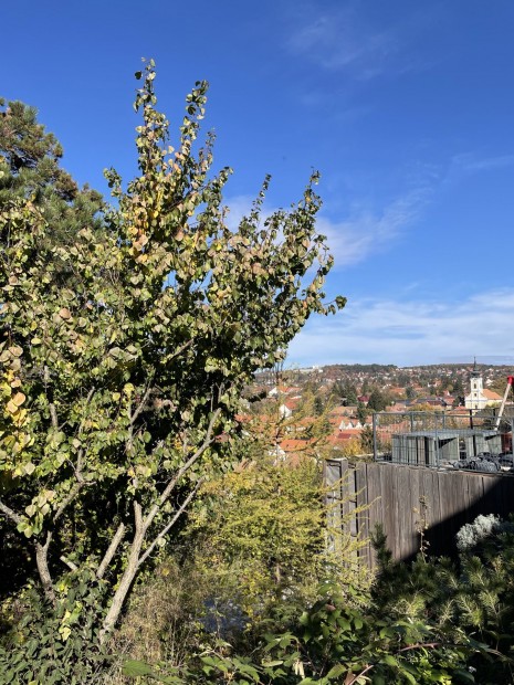 rkpanorms lakvezeti telek Budakeszin - befektetknek s magnvs