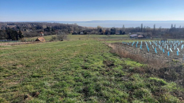 rkpanorms telek elad Balatonrendesen