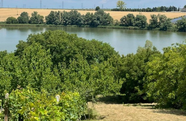 rkpanorms telek elad Bonyhd egyik legfestibb vlgyben