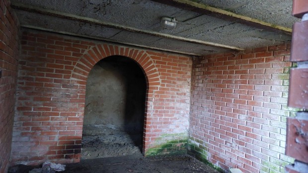 Oroszl�ny Ny�res