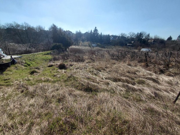 Oroszl�ny,  egy�b telek elad�