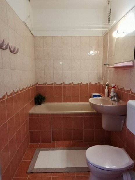 �rs vez�r tere k�zel�ben, B�torozatlan, Panelprogramos h�z, �j ablakok