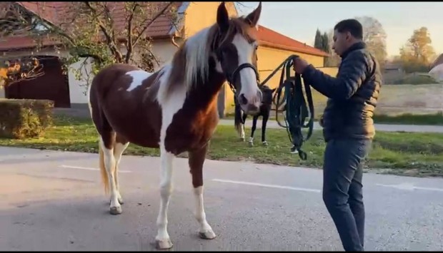 Orszgos vg l felvsrls 
