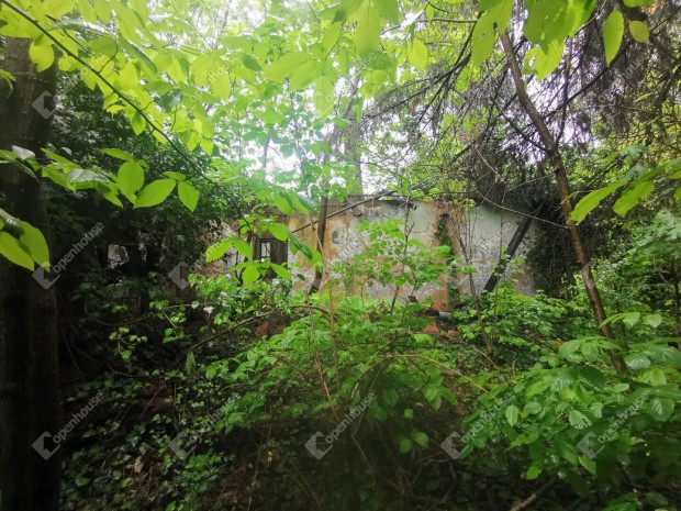 �rtilos-Szentmih�lyhegyen �r�k panor�m�s z�rtkerti ingatlan elad�!