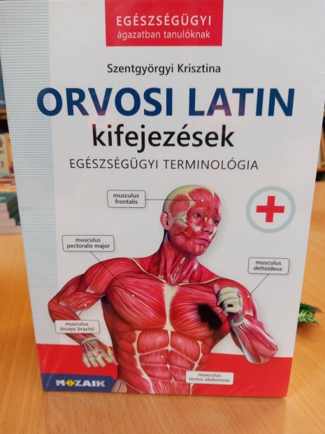 Orvosi latin kifejezsek