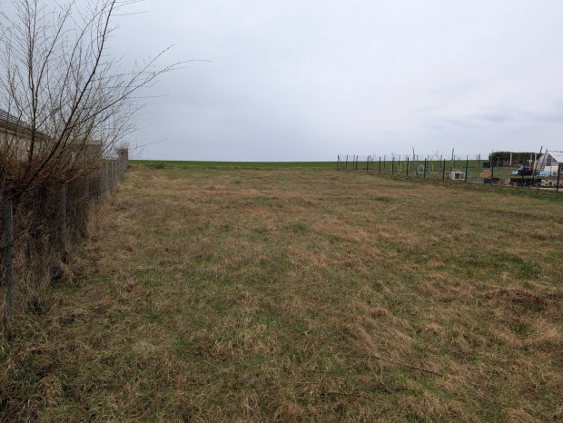 �sszk�zm�ves, d�li fekv�s� panor�m�s telek Tinny�n  Makkfa Liget