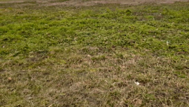 �sszk�zm�ves telek Si�fok-Aranyparton, 200 m�terre a partt�l!