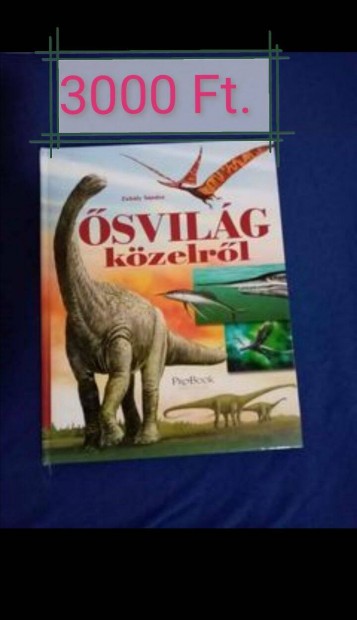 svilg kzelrl knyv