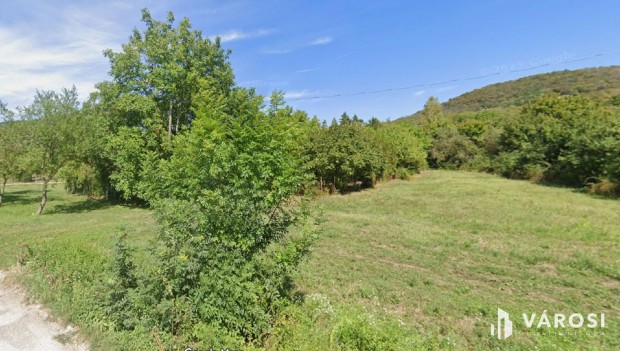 Otthon a term�szet �lel�s�ben