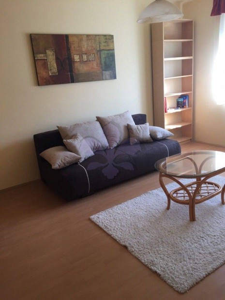 Otthonos lak�s kiad� az Interspar k�zel�ben (F�redi �t)