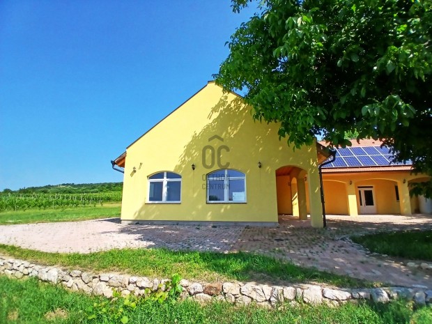 PANOR�M�S BIRTOK CSAL�DI H�ZNAK VAGY PANZI�NAK SIKL�SON