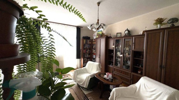 PANORMS, ERKLYES LAKS A SZENTPTERI KAPUBAN  GARZS VSRLSI