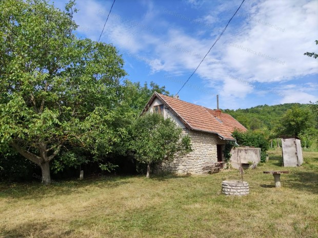PÉCSELYI PRÉSHÁZ ÉS SZŐLŐ. - CSEND, TERMÉSZET, BALATON.