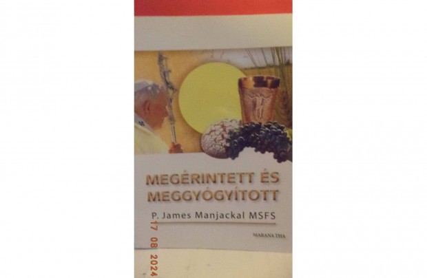 P. James Manjackal MSFS: Megrintett s meggygytott