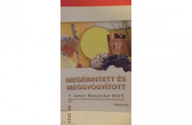 P. James Manjackal MSF: Megrintett s meggygytott