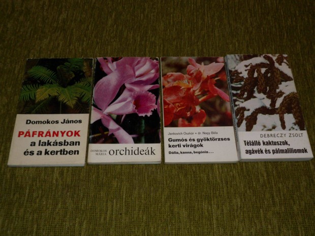 Pfrnyok - Orchidek - Dlia, kanna, begnia - Kaktuszok, agvk