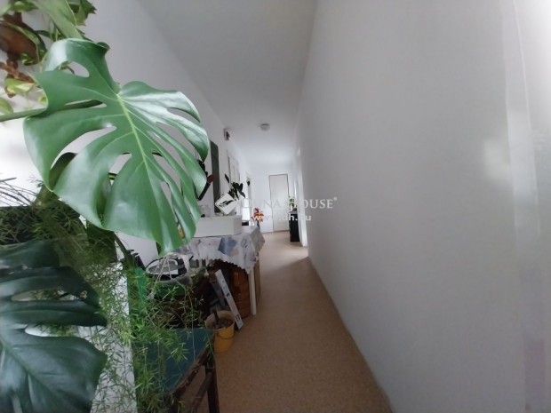 Paksi elad� 70 nm-es h�z