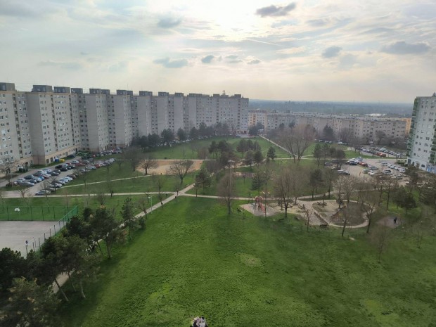 Palotav�rosban panel lak�s elad�