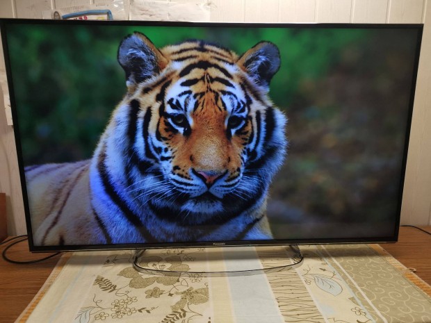 Panasonic 140cm, 4K, 1500Hz, Wifi, Youtube, Smart Led Tv