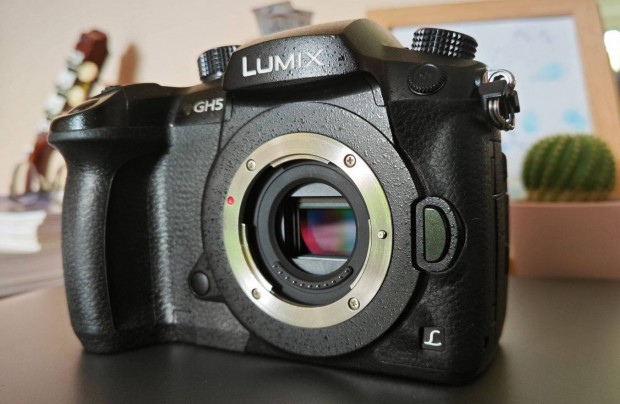 Panasonic GH5 vz