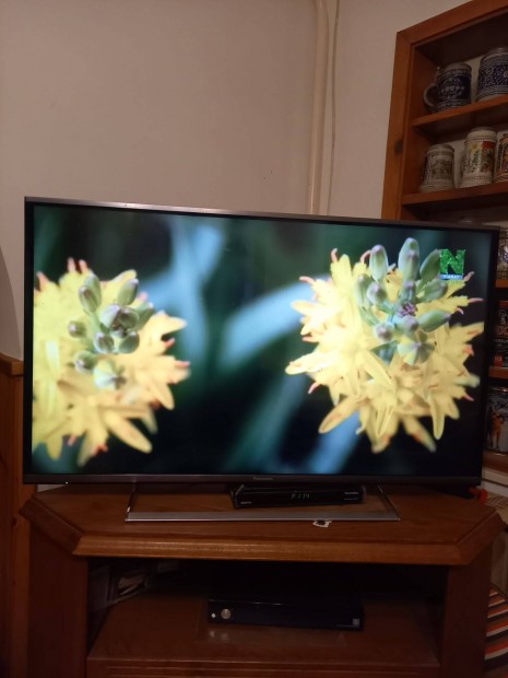 Panasonic LCD TV