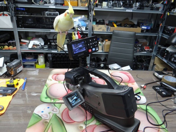 Panasonic NV-MD9000 Minidv Videokamera vide rgztvel!