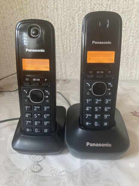 Panasonic TG1612FX duo