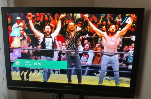 Panasonic TH-50PV8P TV