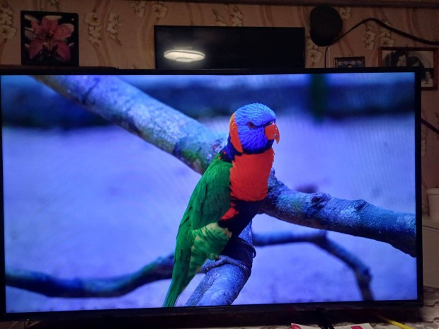 Panasonic led tv