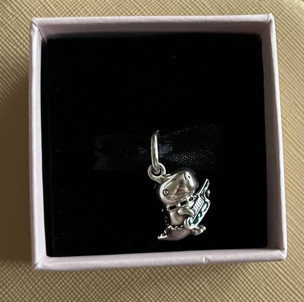 Pandora charm 