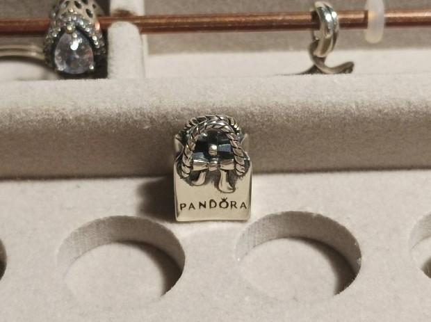 Pandora tska charm 