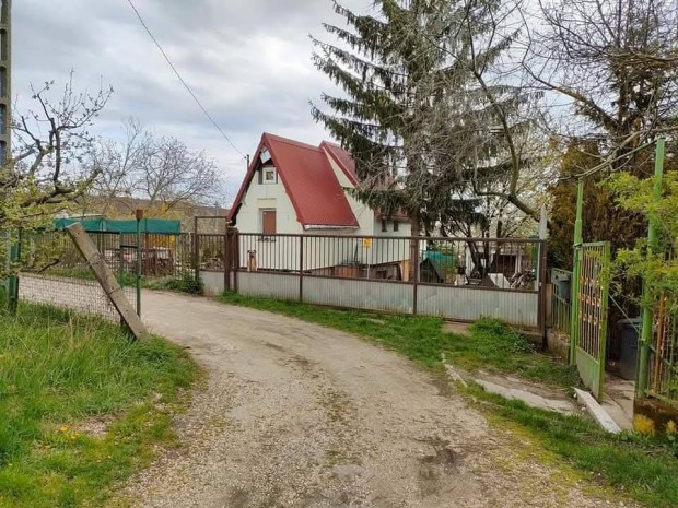 Panel helyett saj�t kert P�ty M�zeshegy, telek �p�lettel