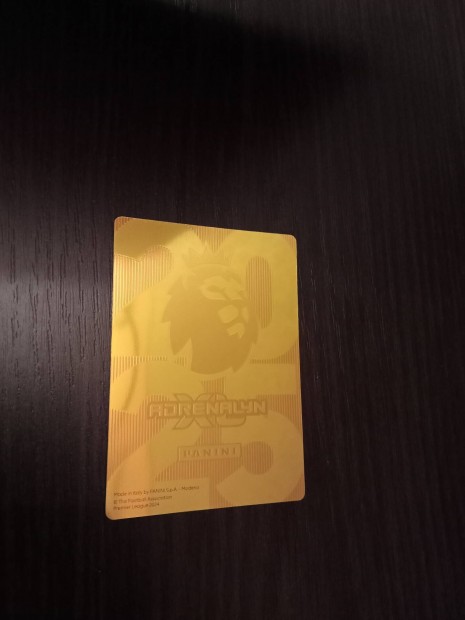 Panini Premier League 2024/2025 Phil Foden golden baller krtya