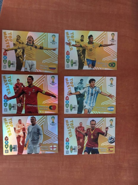 Panini Vb 2014 Top Master gyjtemny