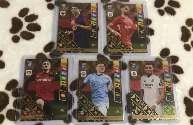 Panini fifa 365 2025 Momentum krtya szett