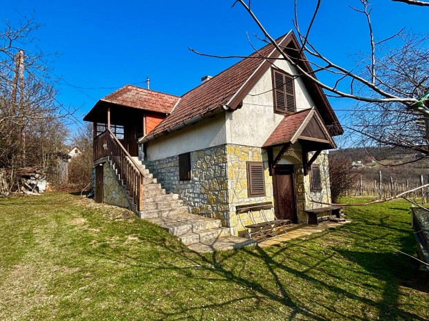 Panor�m�s Pince Balatonsz�l�s�n elad�!