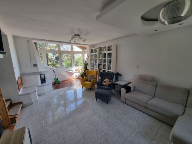 Panor�m�s, mad�rcsicserg�s otthon a Mecsek csendes utc�j�ban