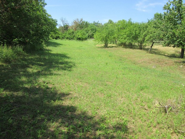 Panorámás birtok, földes pincével a Ság hegyen